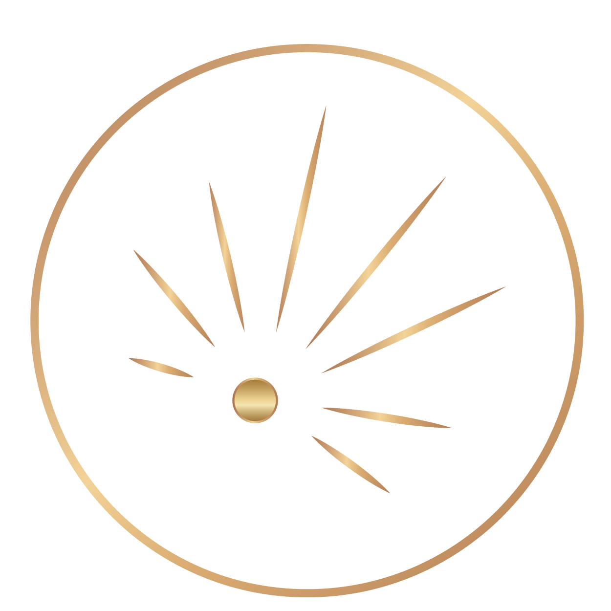 DSS-Icons-05 Builder Circle
