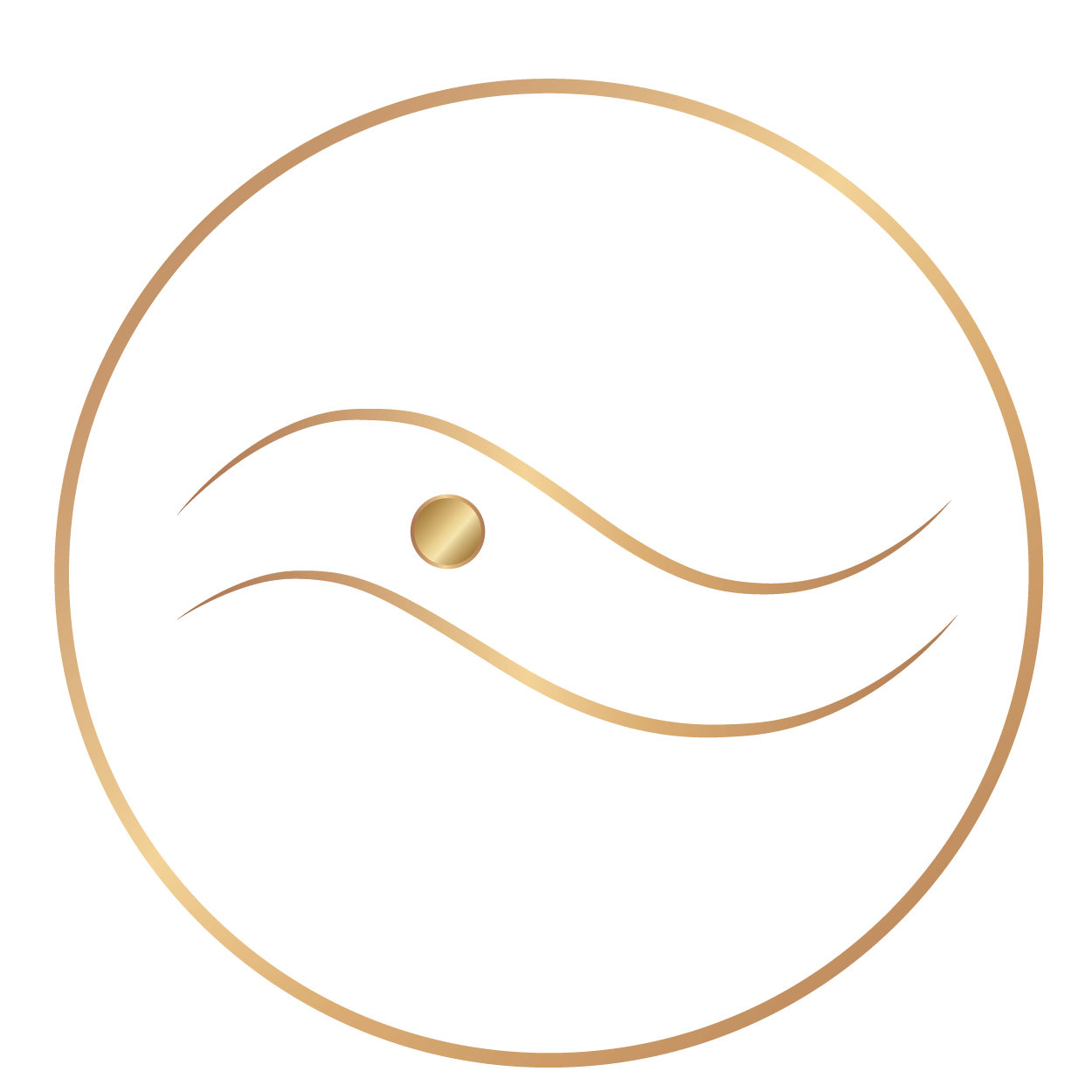 DSS-Icons-06 Operator Circle
