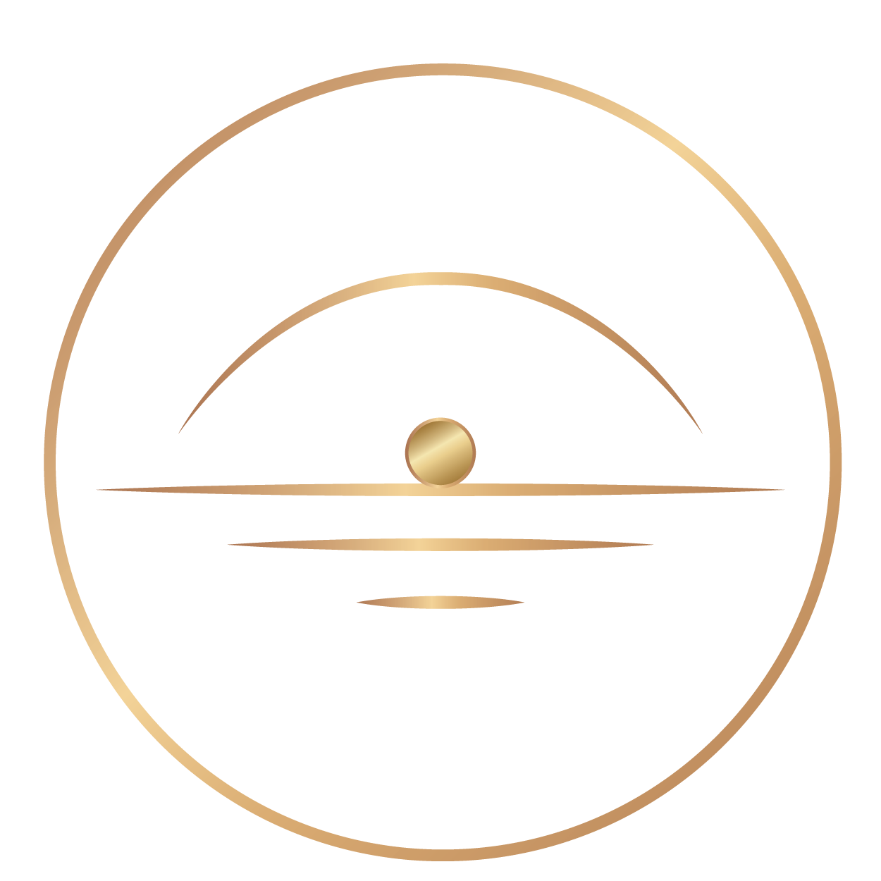 DSS-Icons-08 Visionary Circle
